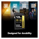 Lexar 128GB Professional 2000x SDXC UHS-II Card GOLD Series - Black