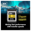 ليكسار بطاقة ذاكرة بسعة 256 جيجابايت الاحترافية CFexpress 2.0 من النوع B - ذهبي