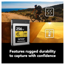 ليكسار بطاقة ذاكرة بسعة 256 جيجابايت الاحترافية CFexpress 2.0 من النوع B - ذهبي