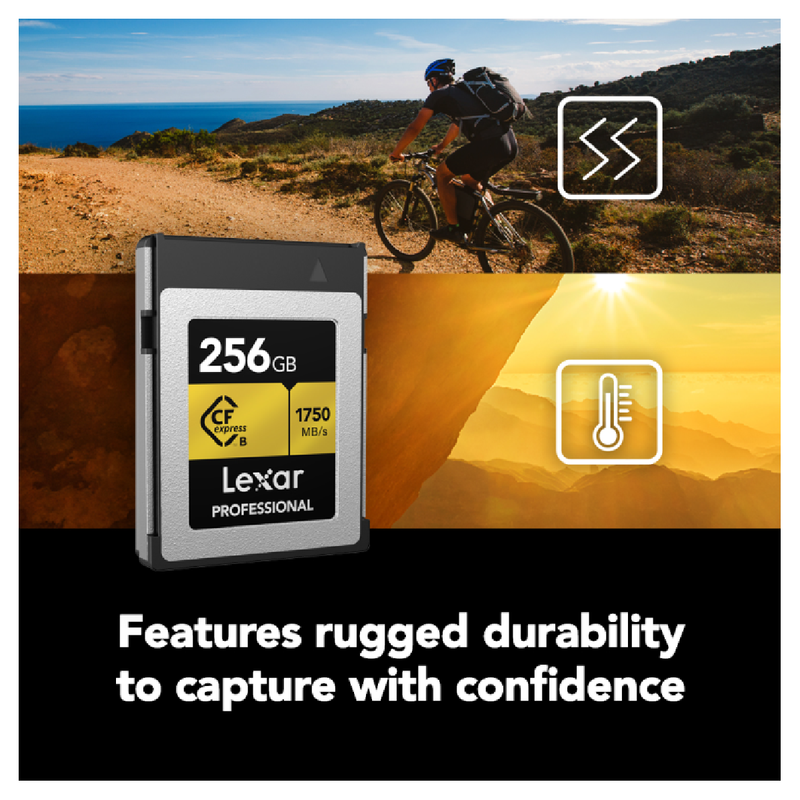 ليكسار بطاقة ذاكرة بسعة 256 جيجابايت الاحترافية CFexpress 2.0 من النوع B - ذهبي
