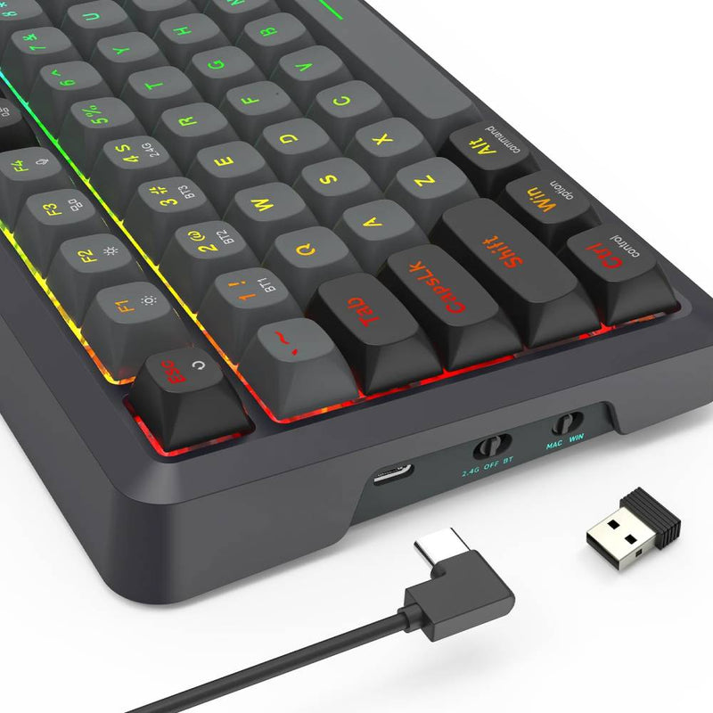 Redragon Bragi Pro Gasket Mounted, Dragon Growl Wireless Gaming Mechanical Keyboard - Black