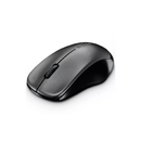 Rapoo Wireless Mouse 1620, Comfortable Elongated Design - Black