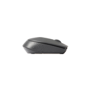 Rapoo Wireless Mouse M100 Silent, High Resolution 1300 DPI Sensor Silent Click