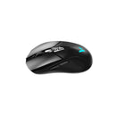 Rapoo V300L Wireless/Wired Gaming Mouse - Black