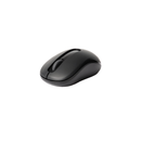 Rapoo Wireless Mouse M10 Plus, Reliable 2.4 GHz Wireless Connection - Black 1