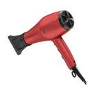 Rush Brush D3K 3000W Hair Dryer - 3 Heat Settings, 2 Speeds, Removable Filter 