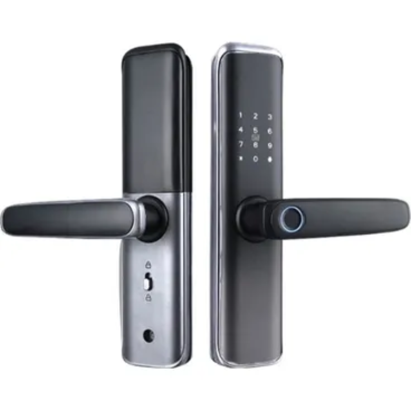 Lezn Smart Lock D01 With Fingerprint and Password, Anti-theft alarm - Matte black and gray with shiny silver frame